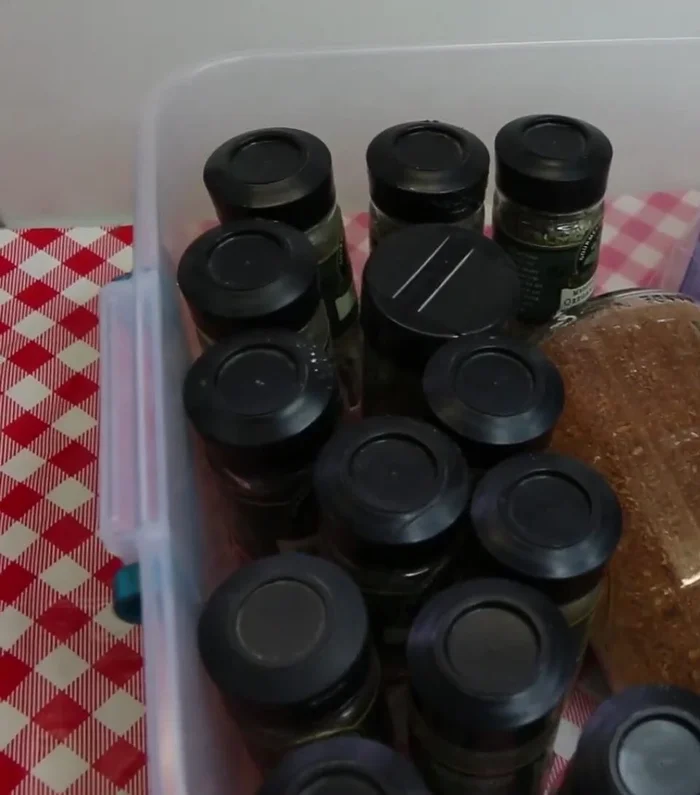 If you have a third bin, use it for overflow items like partially used bags of pasta or spices.