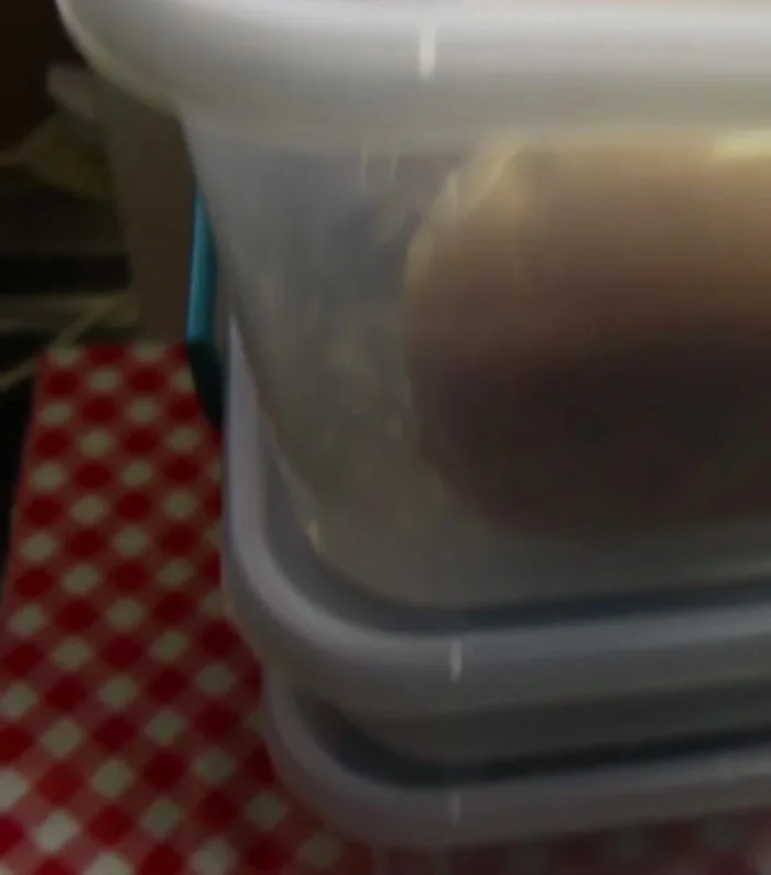 If storing homemade bread, slice it after it cools and wrap tightly in plastic wrap or a bread bag before placing it in a bin. This prevents others from accidentally mishandling it.