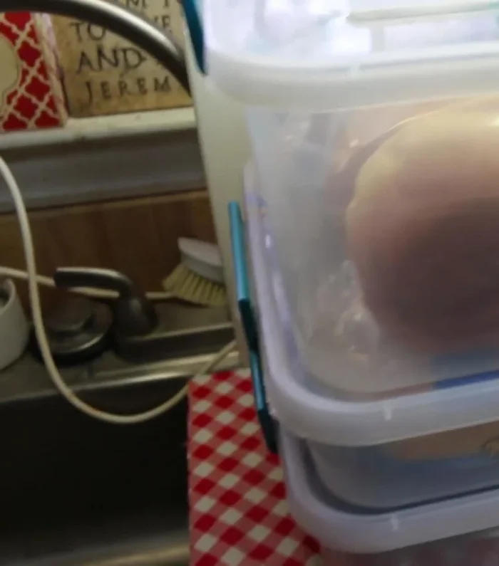 Purchase plastic storage bins that fit your space. The video uses one larger bin and one medium bin.