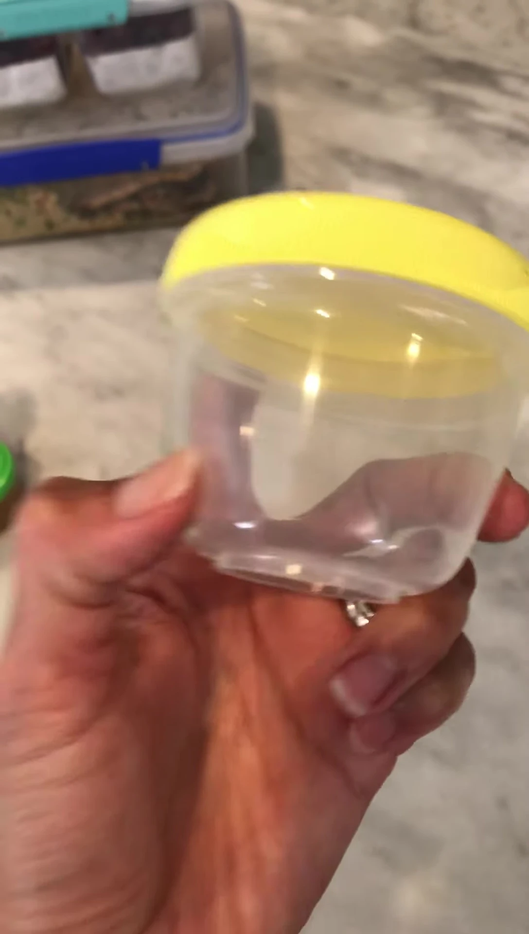Close-up of the egg holder in the Bento Cube.