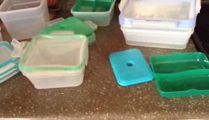 Snapware Airtight Food Storage Containers Review: Costco Haul & Organization