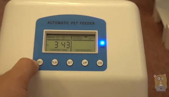 Optional: Record a personalized message using the 'Record' button to be played during feeding time.