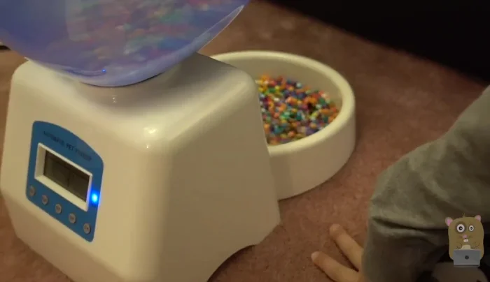 Test the dispensing mechanism by simultaneously pressing the 'up' and 'okay' buttons. This will dispense a set number of portions.