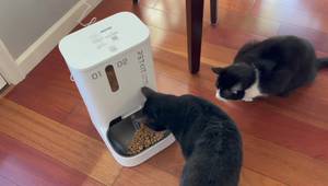 PETKIT Automatic Cat Feeder Review: Smart Feeding for Your Feline Friend