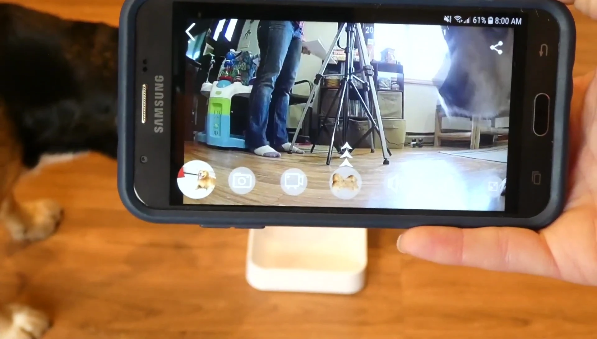Screenshot of the app showing the live camera feed