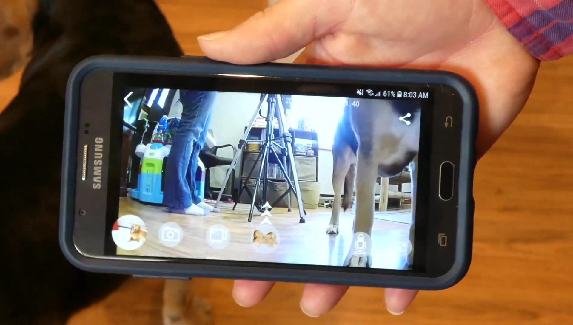Screenshot showcasing the camera's clear image
