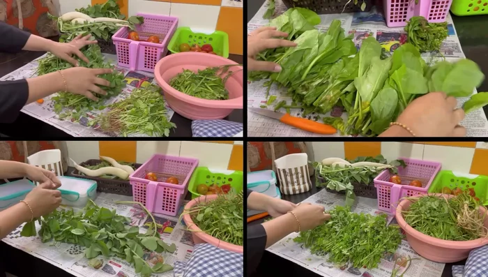 Gently open the bunch and remove any torn, rotten, or yellow leaves.