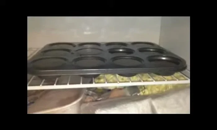 Freeze the muffin pan for 24 hours (or until fully frozen).