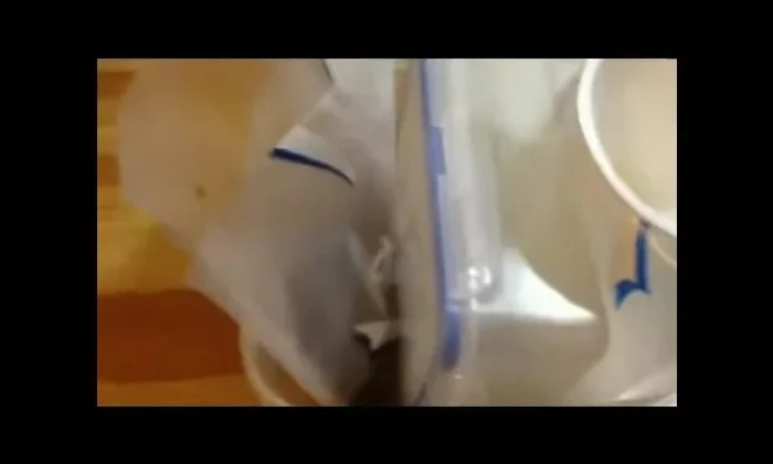 Place the frozen liquid portions into a square container or onto an upside-down baking sheet to maintain an upright position.