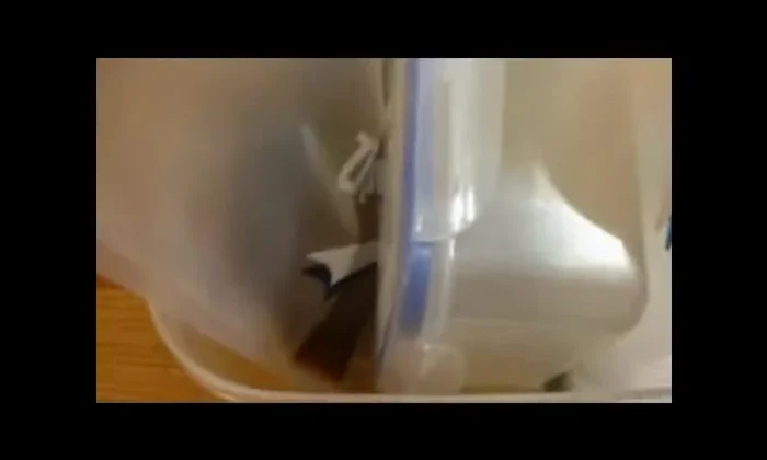 Vacuum seal the bags. If liquid rushes up and prevents proper sealing, freeze the bags for 30-45 minutes before resealing.