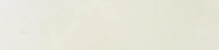 Clean the bread box. Remove any loose dirt or debris.