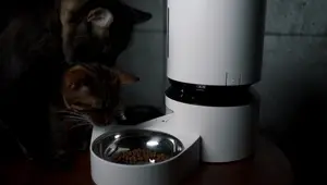 Petlibro Automatic Feeder & Water Fountain Review: A Must-Have for Cat Owners?