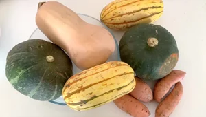 Ultimate Guide to Thanksgiving Leftover Makeover: Freezing, Drying & Delicious Recipes
