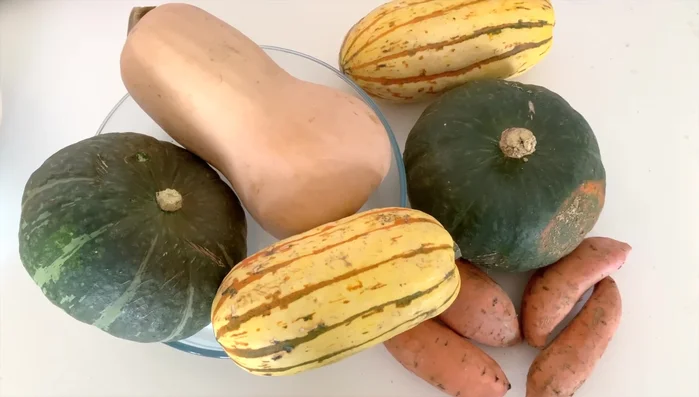 Squash Recipes: Explore various ways to use leftover squash, including the squash brownie recipe.