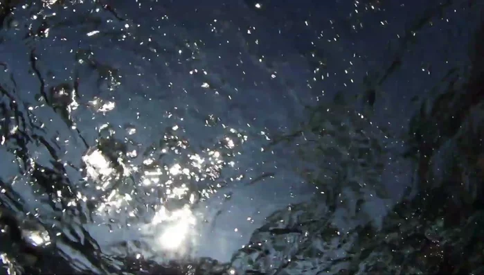 Store containers out of direct sunlight to prevent algae growth and UV degradation of plastic. Use blue containers that limit light exposure.