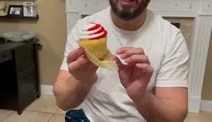 Single Cupcake Boxes Review: Assembly, Features &amp; Are They Worth It?