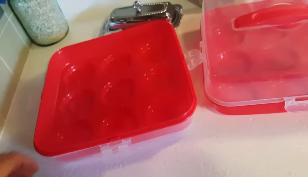 Final shot of the reviewer with the cupcake carrier