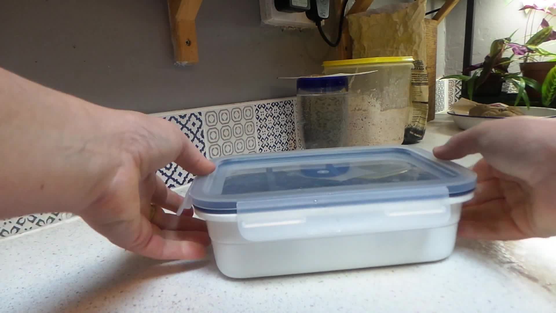 Close-up of the lunchbox showing the snap-on lid.