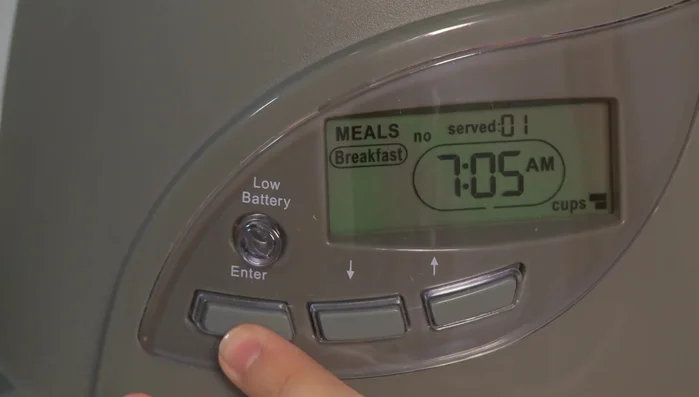 Set the time for each meal. For each meal, use the up and down buttons to set the hour and press 'enter', then set the minutes and press 'enter' to confirm.