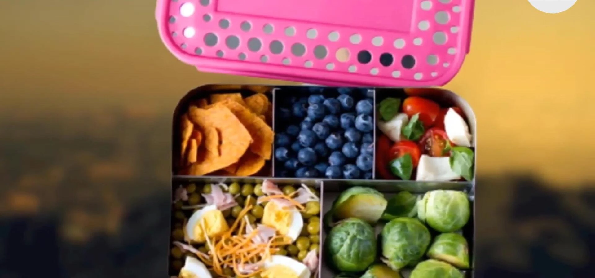 A close-up shot showcasing the material and construction of the LunchBots container.