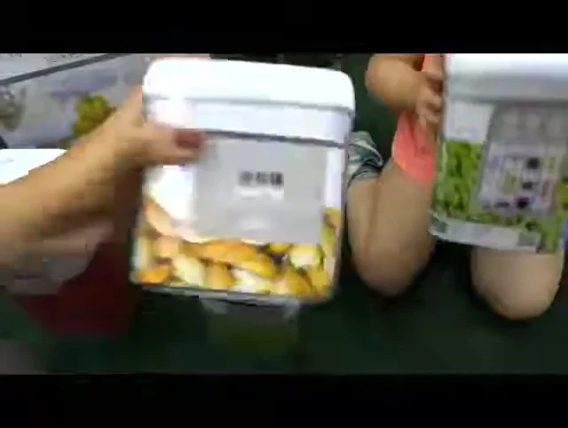 The lid of the container is shown, showing the locking mechanism.