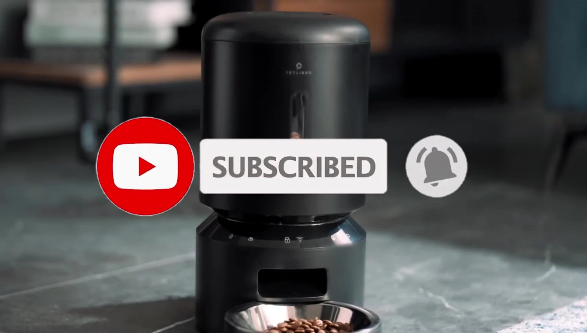 Patori Automatic Cat Feeder