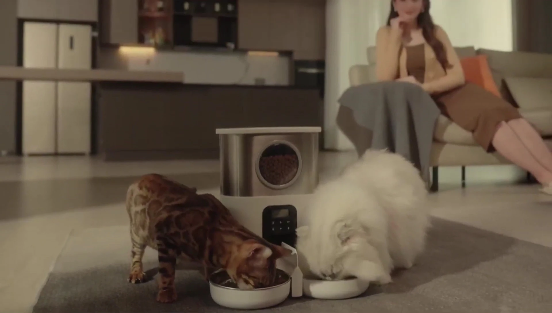 Pet-proof design of the WOPET feeder