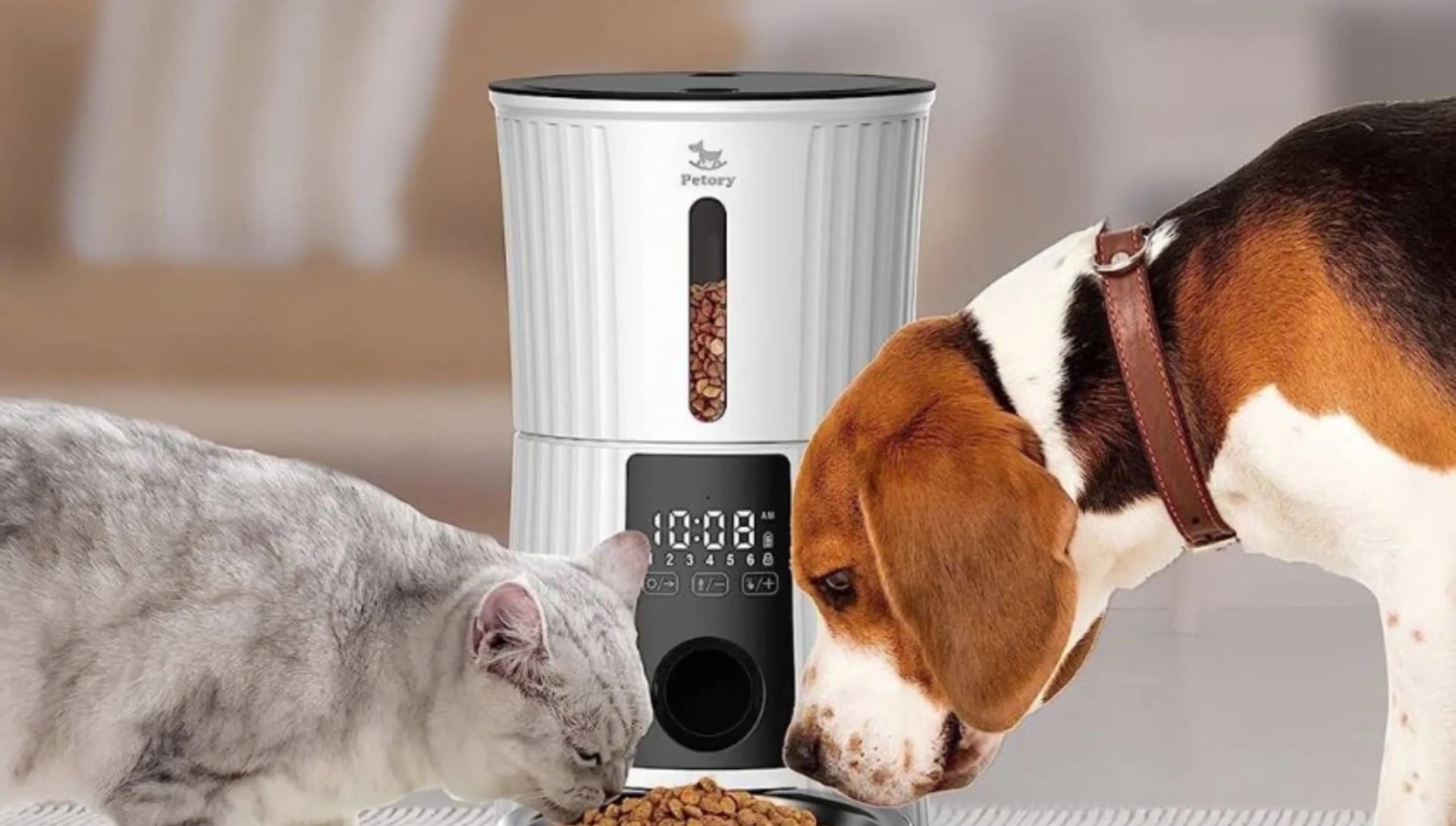 Patori feeder's dual power supply