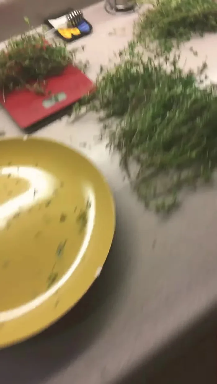 Separate herbs by type: Separate woody stems from more delicate, fleshy leaves. The speaker notes that fleshy leaves become watery when frozen.