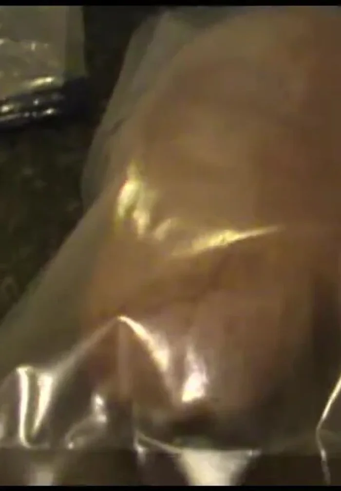 Seal the Ziploc bag tightly using a Ziploc sealer.