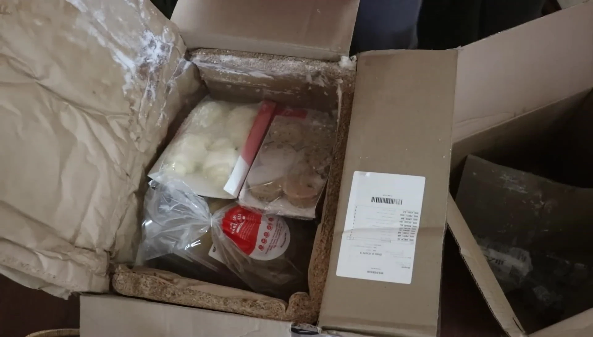 Overview of all items inside the opened WILDGRAIN box.