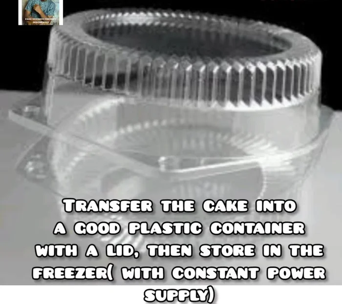 Transfer the wrapped cake into an airtight container with a lid.
