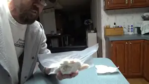 BPA Free Vacuum Sealer Bags Review: Sous Vide & Food Storage