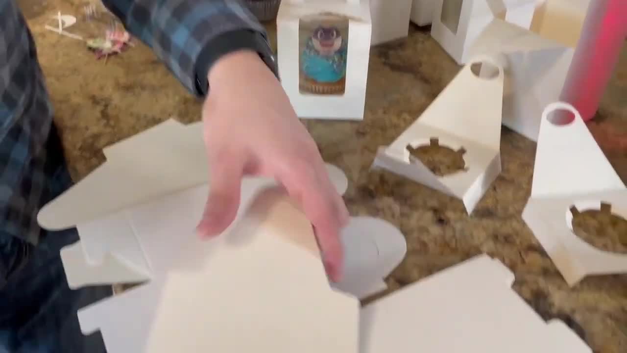 The 25-pack of cupcake boxes