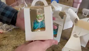 Amazon Cupcake Boxes: A Detailed Assembly Guide & Review