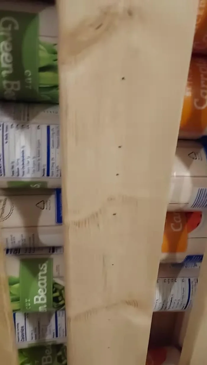 Load the cans: Load cans into each section, starting with the oldest cans at the front.