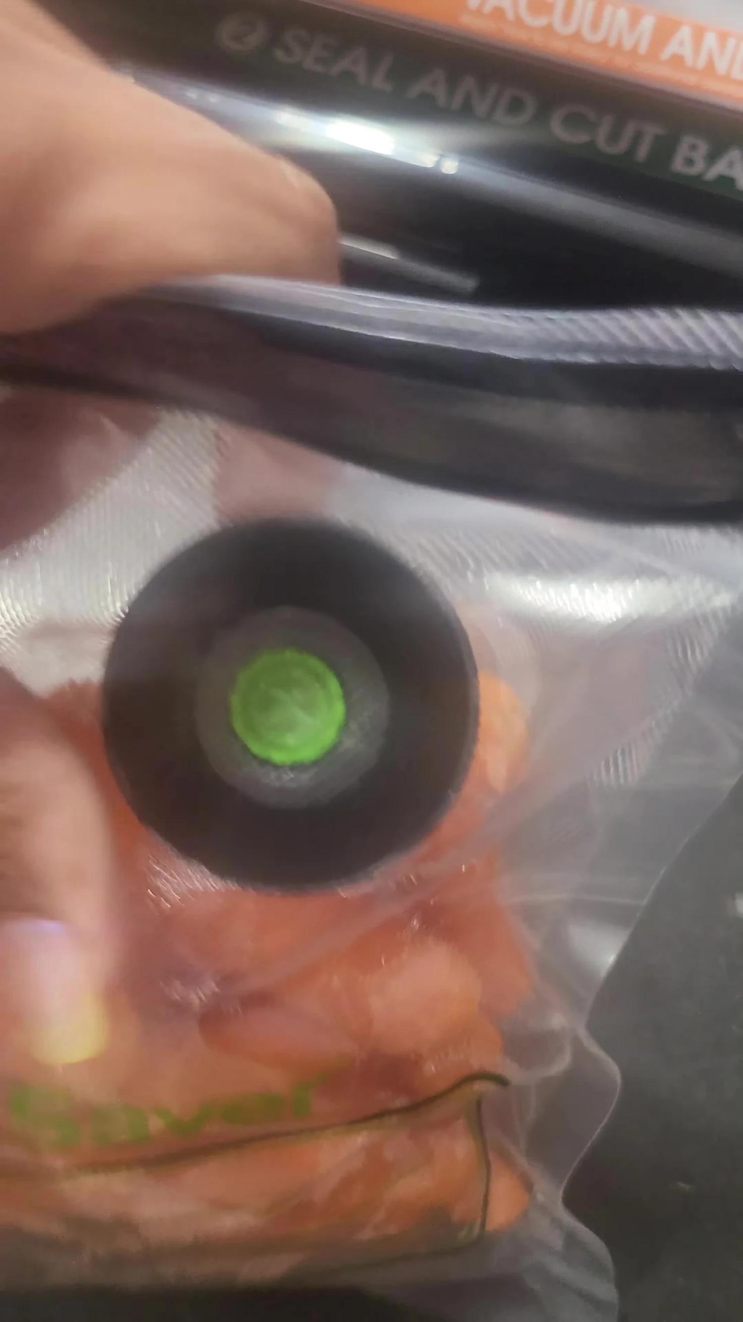 Speaker demonstrating proper bag preparation and avoiding overfilling near the sealing area.