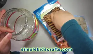 DIY Cute Recycled Cookie Jar Craft: A Step-by-Step Guide
