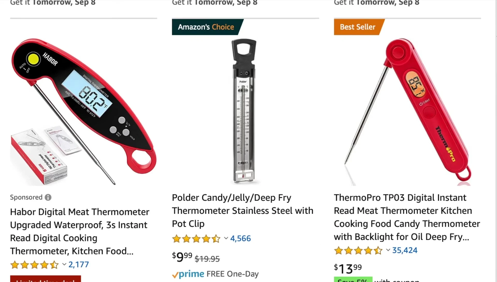 Digital candy/meat thermometer